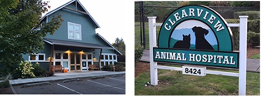 Home | Veterinarian in Snohomish, WA | Clearview Animal Hospital